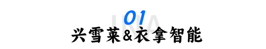 旅游宣傳清新大字公眾號文章標(biāo)題 (18).jpg